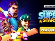 Hitwicket Beginners Guide and Tips