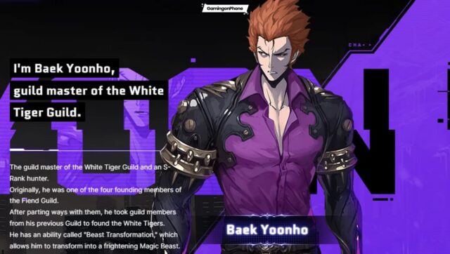Solo-leveling-arise-Baek-Yoonho-build-guide.jpg