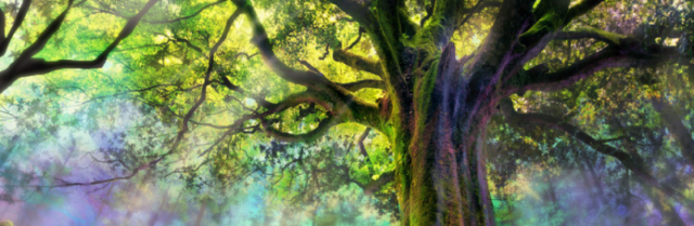 chronicles-of-elyria-green-green-tree-696x227.png