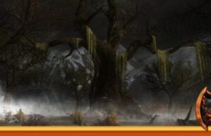 Tim Aliran: Mencari pengetahuan di Ravenloft DDO