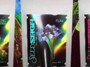 Pemain Guild Wars 2 kini dapat ‘bermain, tumbuh, dan menyentuh rumput’ dengan benih tanaman berlisensi resmi