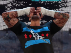 CM Punk kembali di WWE 2K24