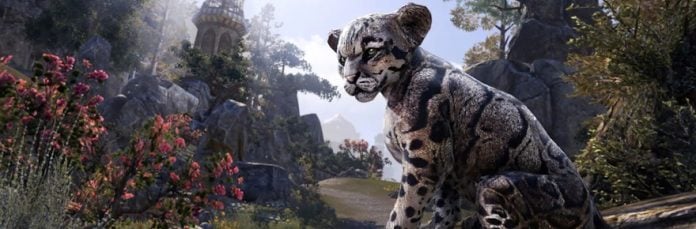 Elder Scrolls Online menghadirkan kembali Festival Penjelajah yang gila XP