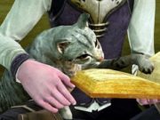 Huh, ya, seorang pria mencoba memukul pria lain dengan palu IRL di atas ArcheAge