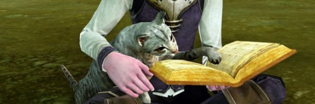 archeage-kittyreading-1-696x229.jpg