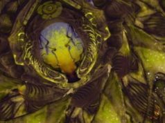 Elite Dangerous membuat perubahan tambahan pada mekanisme Perang Thargoid