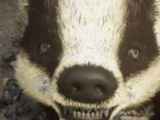 Pax Dei mengatasi lebih banyak bug, menarik bagi pembuat konten, dan menguraikan ‘bencana DNS’