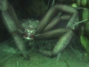 Pengembang LOTRO mengatasi keseimbangan PvP (im) setelah fitur pencarian kejayaan Pembaruan 41