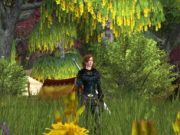 LOTRO memberikan update pengembangan pada penundaan kinship revamp, resolusi 4K, dan avatar Elf