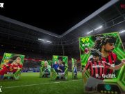 Panduan jenis kartu pemain dalam permainan